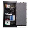 (image for) MESA 14 CF Constitution Fire Safe with Shelves