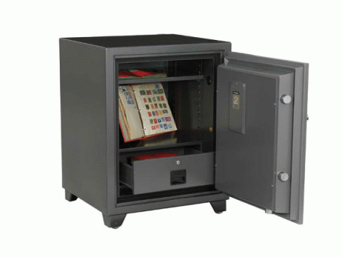 First Alert 2.77 Cu. Ft. Fire Theft Combination Safe 2575F - Click Image to Close