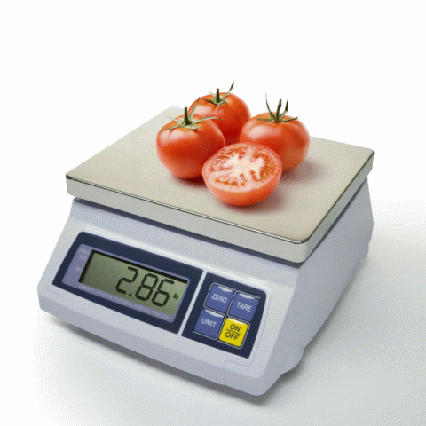 10 lbs. Portion Control Bench Scale with 2 Gram Accuracy - Click Image to Close