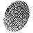 Fingerprints Safes